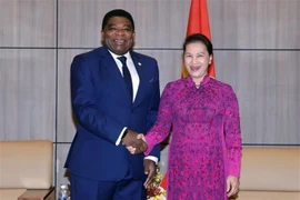 UIP dispuesta a asistir a Vietnam en cumplimiento de ODS, dice secretario general