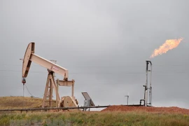 Vietnam busca reformar estrategia nacional de energía