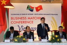Estudian posibilidades para impulsar intercambio comercial Vietnam- Sudáfrica