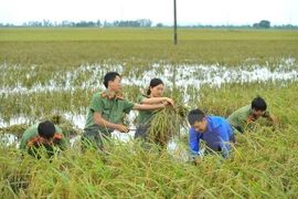 Aumentan calidad de vida de pobladores en zonas rurales en provincia norvietnamita