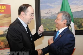 Conmemoran 43 aniversario del establecimiento de relaciones diplomáticas Vietnam-México