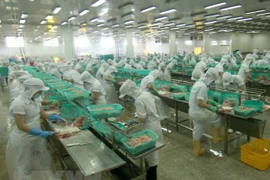 Estados Unidos reduce el impuesto antidumping al camarón vietnamita 