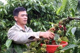Vietnam publicará libro sobre indicaciones geográficas de productos culturales de la nación