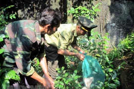 Vietnamitas con alta conciencia en la preservación de animales raros