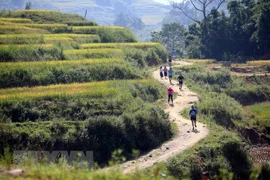 Celebran maratón de montaña internacional en Vietnam