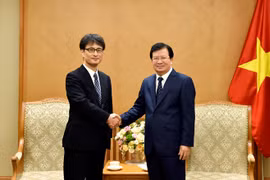 Vietnam facilita inversiones japonesas en proyectos de energía