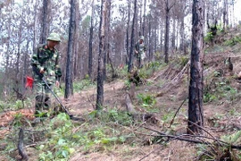 Vietnam por avanzar en mitigación de secuelas de minas remanentes de guerra