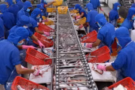 Crecen exportaciones de pescado Tra vietnamita a EE.UU. 