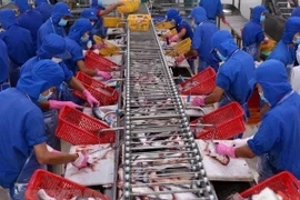 Crecen exportaciones de pescado Tra vietnamita a EE.UU. 