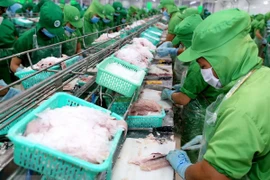 Nuevas oportunidades para exportación de pescado Tra de Vietnam a China 
