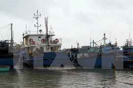 Rescatan a cinco pescadores vietnamitas accidentados en el mar