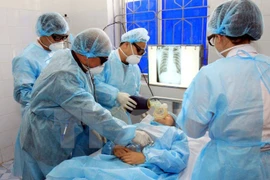 Situación de epidemias persistirá complicada en Vietnam en 2018