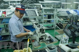 Adelantan futuro alentador para empresas procesadoras y manufactureras de Vietnam