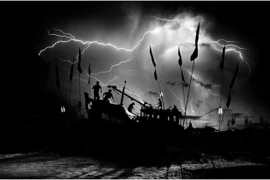 Fotógrafos vietnamitas ganan premio en concurso internacional 