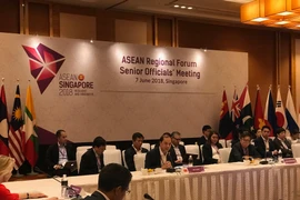 Vietnam resalta importancia de cooperación para la paz y seguridad regional 