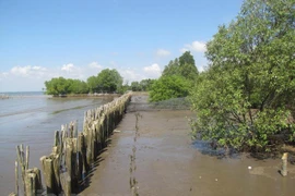 Países de subregión del Mekong prestan atención a seguridad energética e hídrica