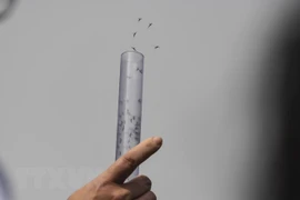 Vietnam libera más mosquitos contra dengue