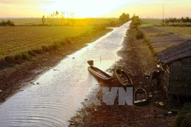 Destacan gestión efectiva de recursos hídricos en Vietnam