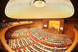Parlamento de Vietnam revisará borrador de ley de ejecución de veredictos penales 
