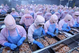 Empresas vietnamitas estudian oportunidad de negocios en África 
