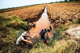 Empresas japonesas aspiran a invertir en Vietnam