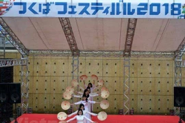 Destacan particularidades culturales de Vietnam en festival en Japón 