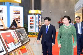 Vietnam determinado a impulsar diplomacia multilateral 