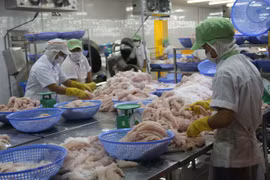 Acción jurídica de Vietnam podrá cambiar sanción por EE.UU. a su pescado Tra 
