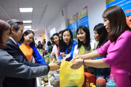 Organización holandesa asiste a mujeres vietnamitas emprendedoras 