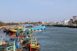 Comisión Europea reconoce esfuerzos de Vietnam contra pesca ilegal