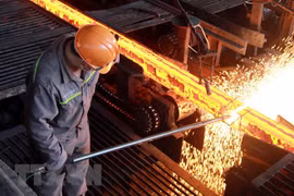 Vietnam dispuesto a defender sus exportaciones de acero