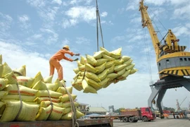 Economía de Vietnam registra alentadora recuperación, valora economista australiano​