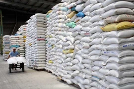 Exportador vietnamita de arroz firma contratos millonarios con Malasia y Estados Unidos 