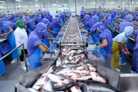 Ciudad Ho Chi Minh promueve el desarrollo del sector privado