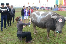 Comienzan festivales primaverales en provincias norteñas de Vietnam 