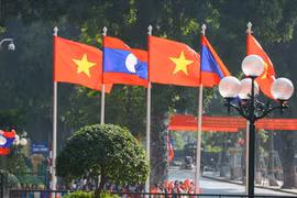 Vietnam y Laos seguirán cooperando en búsqueda de soldados desaparecidos durante la guerra