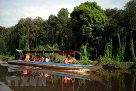 Región del delta de Mekong: destino atractivo para turistas extranjeros