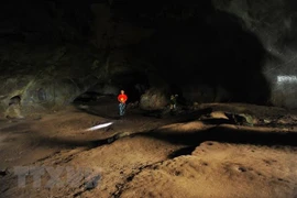 Hallazgo de vestigios prehistóricos en provincia norvietnamita de Tuyen Quang 