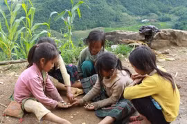 Cruz Roja de Vietnam en pro de familias pobres 