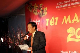 Vietnamitas en India y Rusia celebran el Tet tradicional