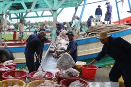 Vietnam trabaja por levantar tarjeta amarilla aplicada por UE a su sector acuícola