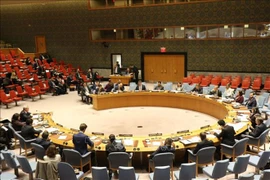 Vietnam llama a continua reforma de ONU basada en prioridades de los países 