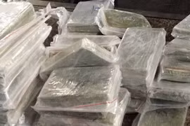 Vietnam desmantela banda transfronteriza de narcotraficantes