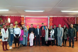 Celebran en Vietnam diversas actividades por el Año Nuevo Lunar