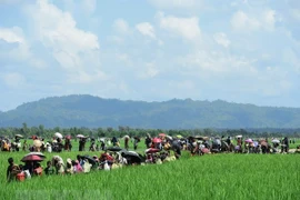 Myanmar alerta inestabilidad regional por riesgos de terrorismo en estado Rakhine 