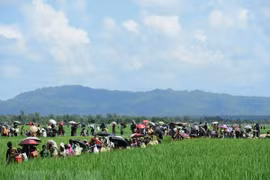 Myanmar alerta inestabilidad regional por riesgos de terrorismo en estado Rakhine 