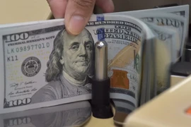 Alza del dólar no afectará la economía de Vietnam, evalúan especialistas
