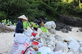 Organizaciones internacionales unen manos para proteger entorno natural en Vietnam