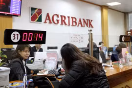 Destacan aportes de Agribank para garantizar seguridad alimentaria en Vietnam