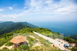 Inauguran sistema global de sitios web Travel.VN